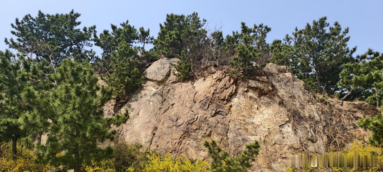 上班久了才发现：领导提拔谁，不看能力，看“像不像自己”我待过一家公司，领导是