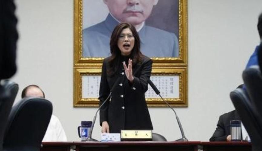 郑丽文一行访陆行程花费480万新台币，陷入报销难、左右被挡之时，张亚中校长出来了