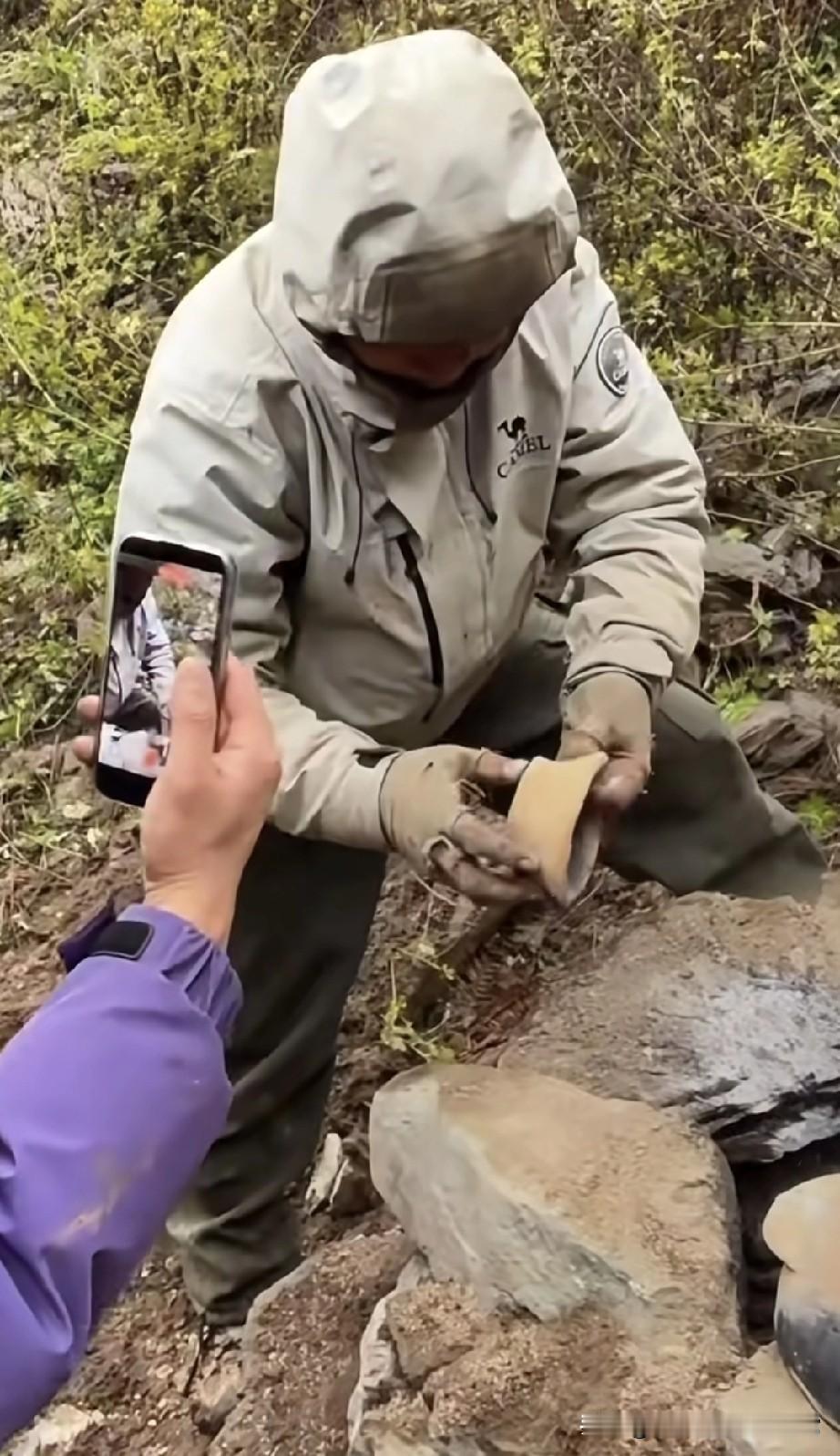 荒野求生开窑翻车？老中医这波操作把网友看懵了！“老中医荒野求生开窑”这操作
