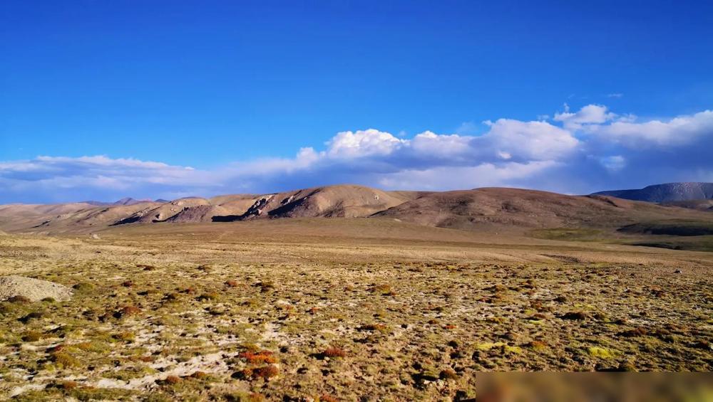 退休老人找死最快的方式，就是在这三件事情上不清醒：第一，一把年纪，还热衷于人情世