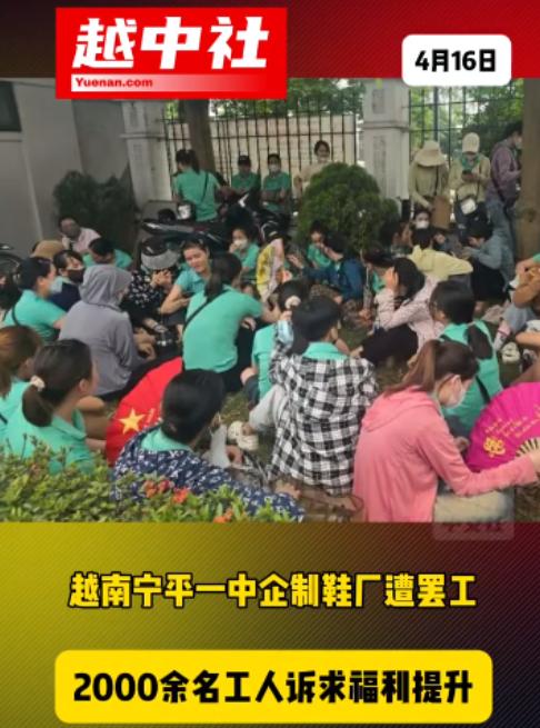在越南的中企面临罢工很无奈！在越南的中企很多，有很多网友说了在越南发展情况。