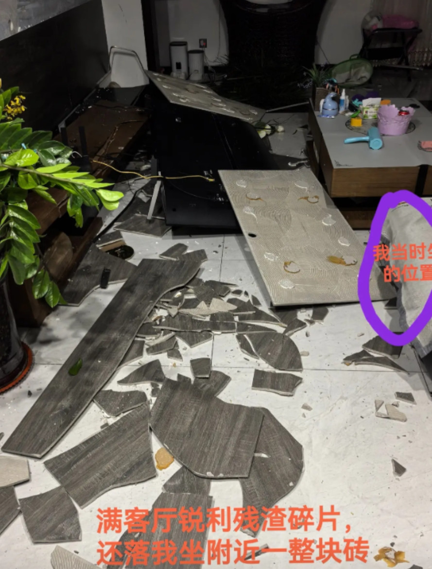“不幸中的万幸！”7月12日，山东一女子坐在沙发上低头玩手机，旁边趴着的3只猫突