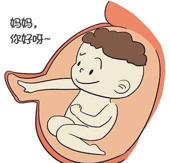 胎动是判断宝宝的健康与否最直接简单的方式, 而一般宝宝都在晚上发动