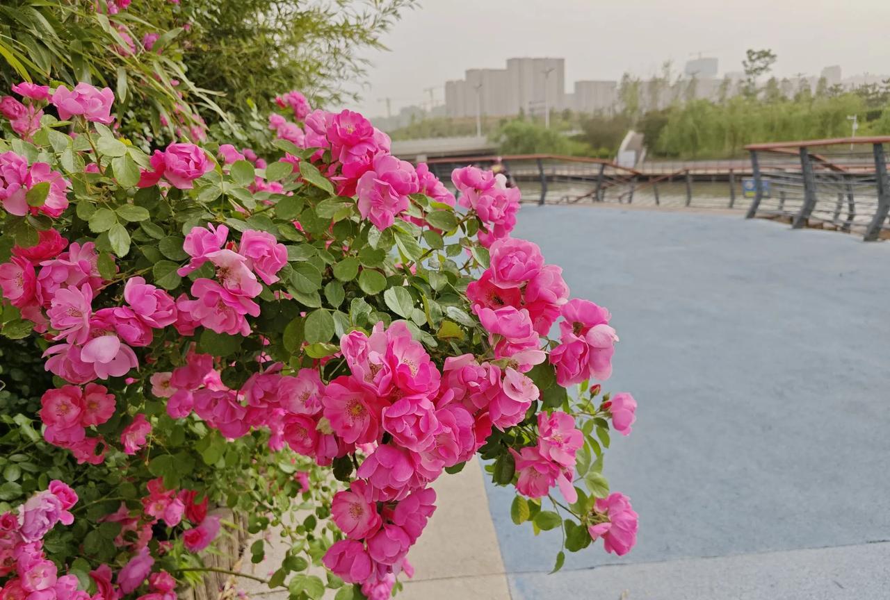 气晕！我瞅着自家所谓985大学毕业的女儿，横竖不顺眼，几乎憋出内伤——我咬着后