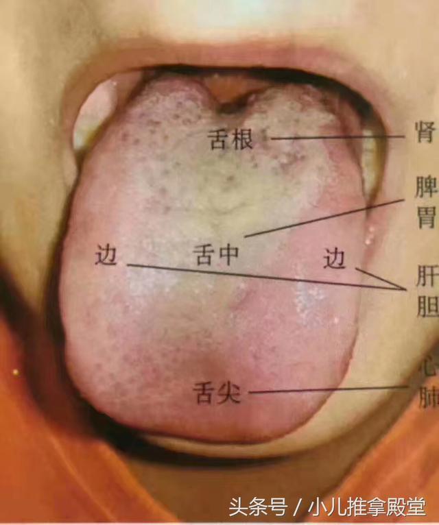 怎么害得宝宝越长越瘦, 2到6岁幼儿最多见, 到底怎么办?
