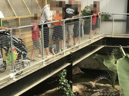 “太可怕”！6月18日，4.5米高鳄鱼观赏区，30岁男子当众把3岁娃扔进4.5米
