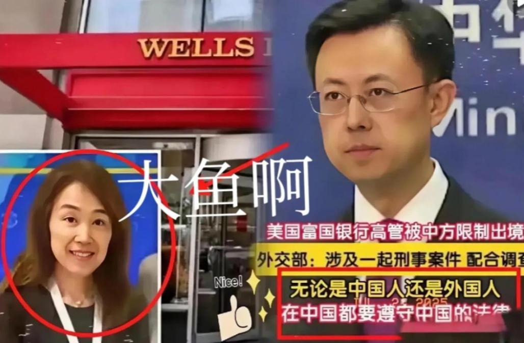 原来，茅晨月是一条“大鱼”啊！这位出生于上海、常年往返中美两地的“金融精英”