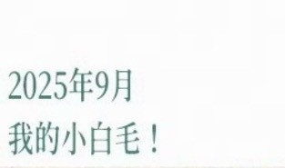 文字部分9到11月