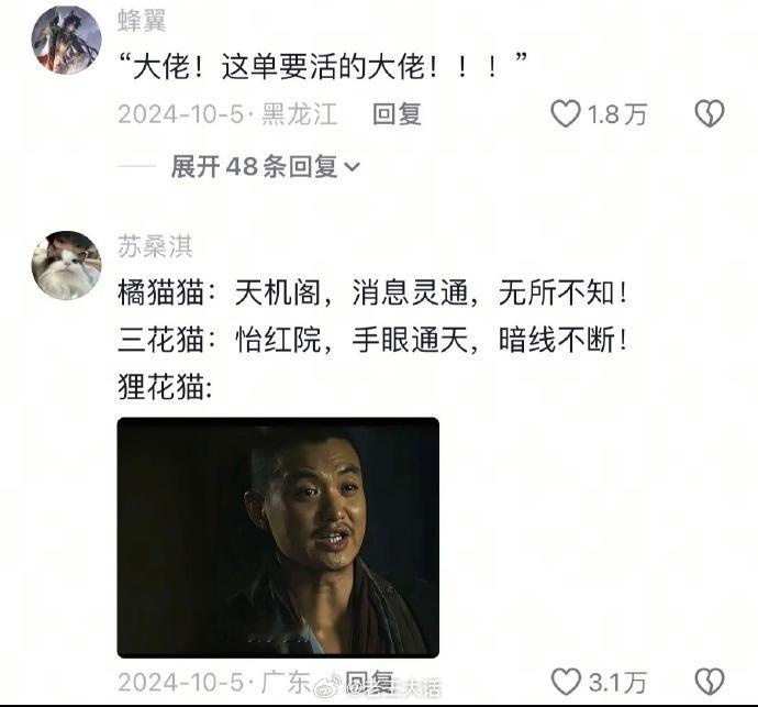 主人悬赏狸花猫找自家猫[笑着哭]​​​