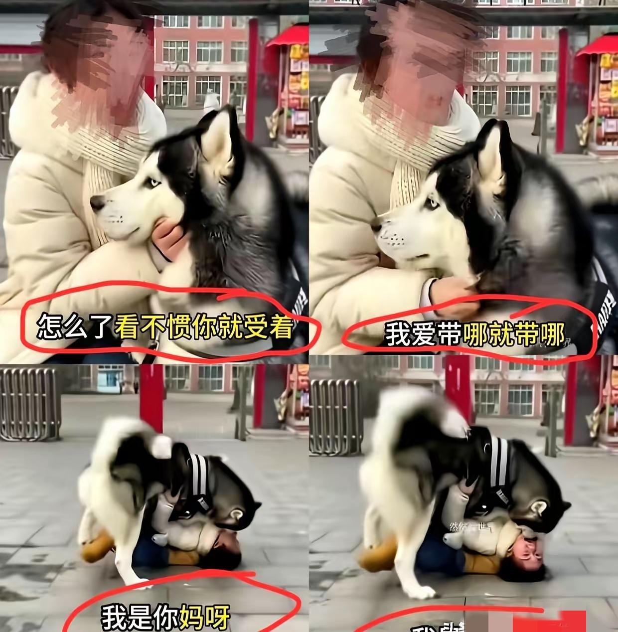 “儿子，我是你妈”，狗儿子死死的咬住女子嘴唇，女子还是不忍心打，嘴里呜呜的喊着：