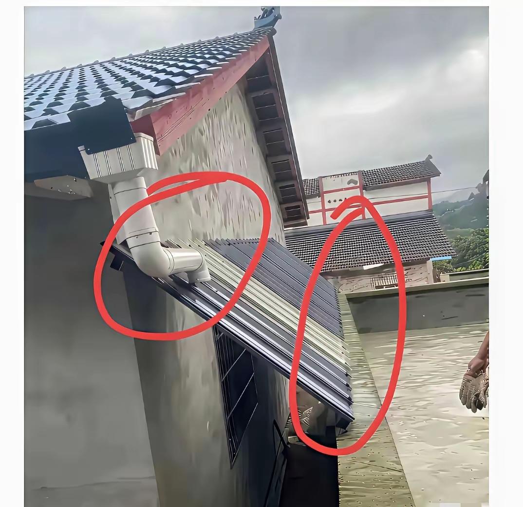 碰到这种邻居，我该如何反击？