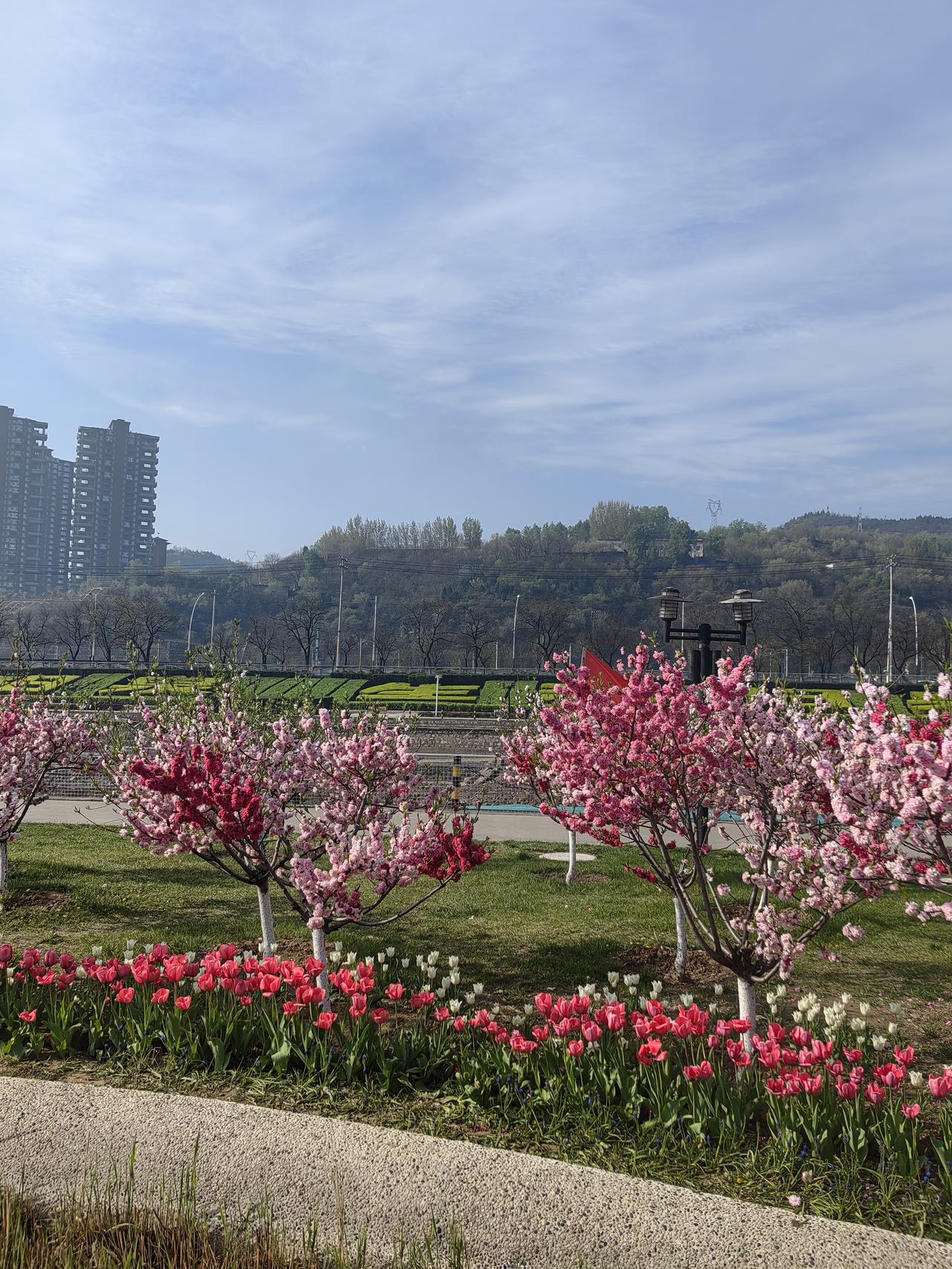 看了桃河的治理效果图，我有两个疑问。其一，就算引入河水，能有那么清澈吗？大家都清