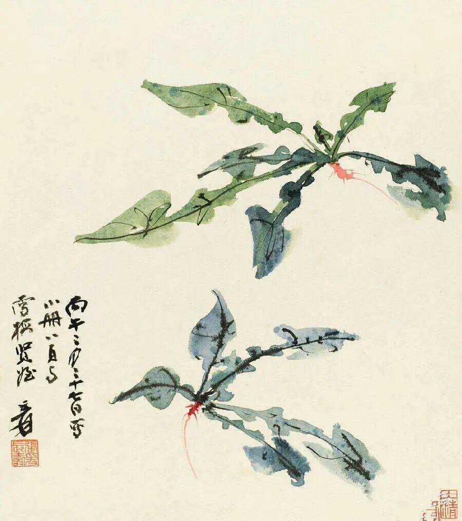 张大千果蔬图册。新城事遇见艺术​​​