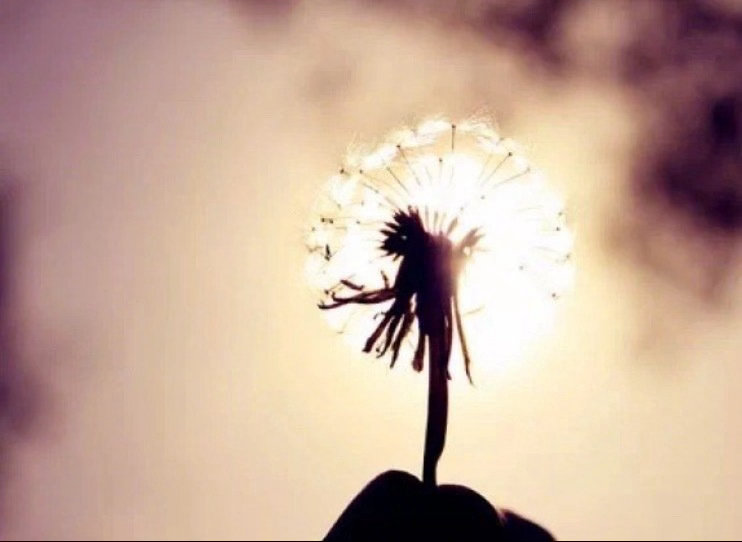 人生的得失有各种各样的表面形式，形式绝非得失的真正内容。在生命的底层逻辑，真正的