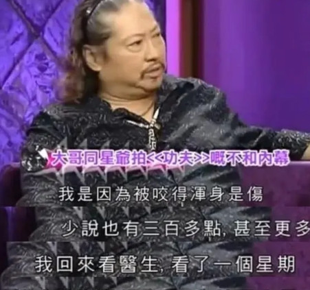 2003年，《功夫》开拍，洪金宝做武术指导，却被蚊子叮了300多个包，住进了医院
