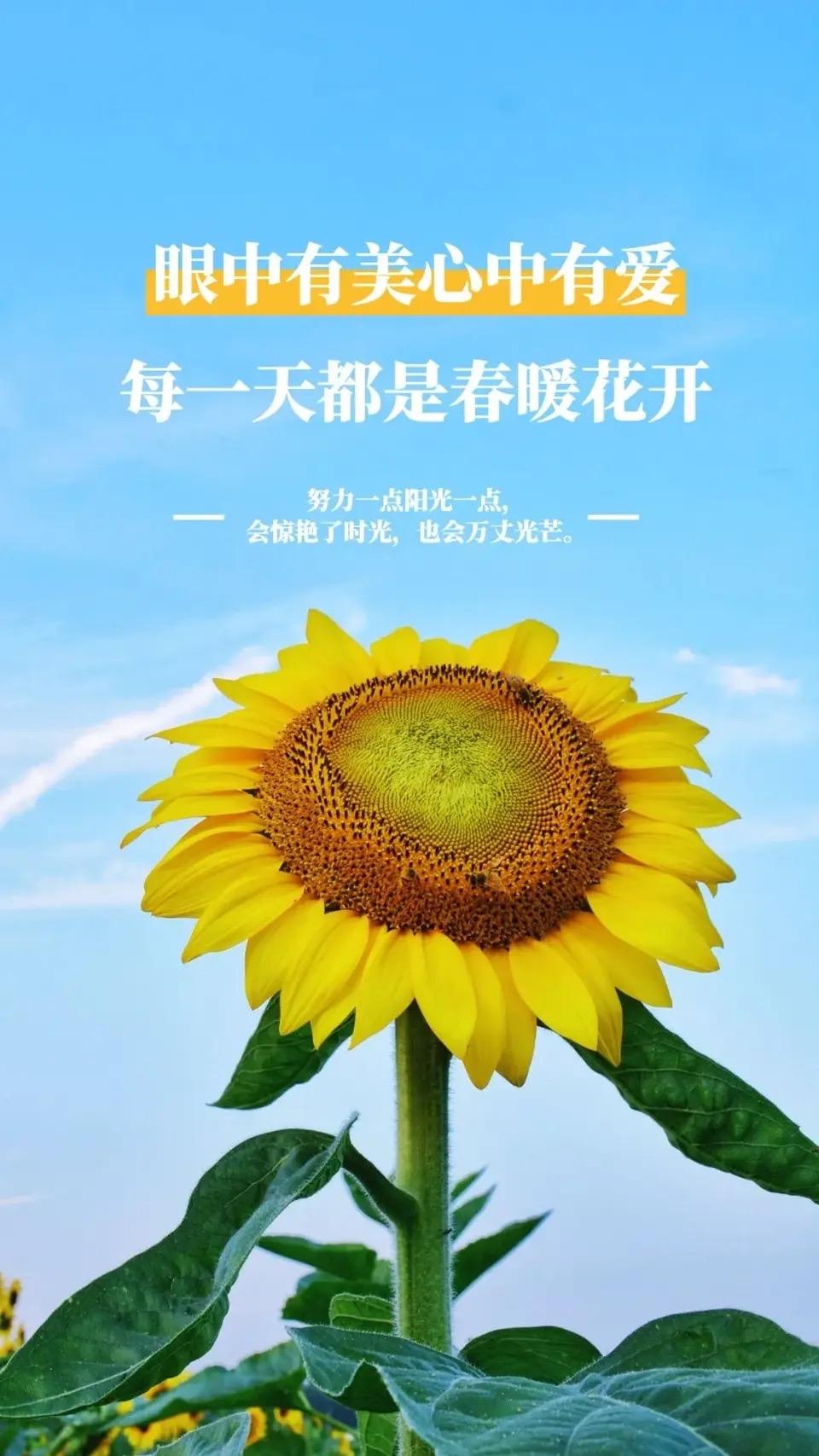 人生有两样东西是人人平等的：就是赤裸裸地来和赤裸裸的去。没有一人例外。曾经是