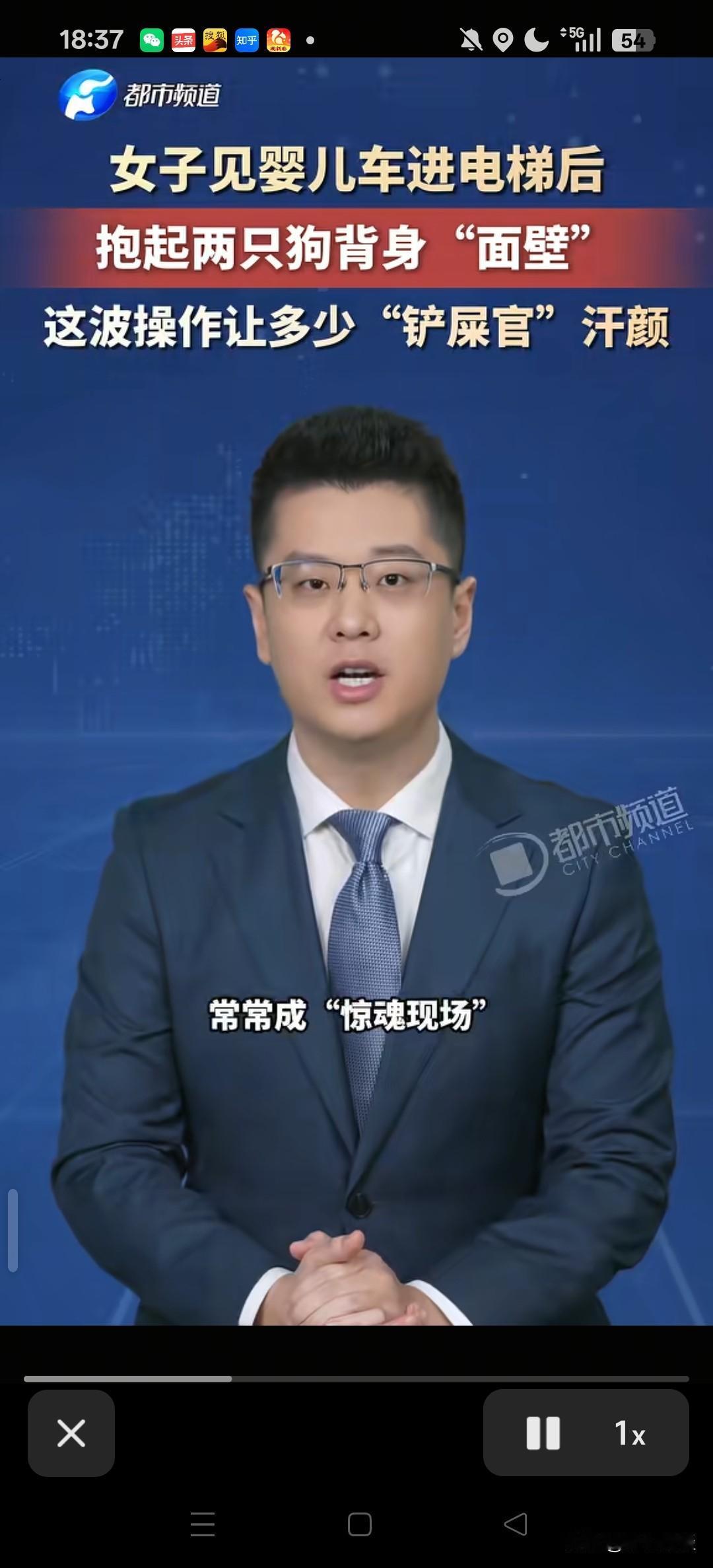 这才是养狗该有的样子！甘肃，女子带着两只狗狗进电梯内。不料，邻居推着婴儿车正也进