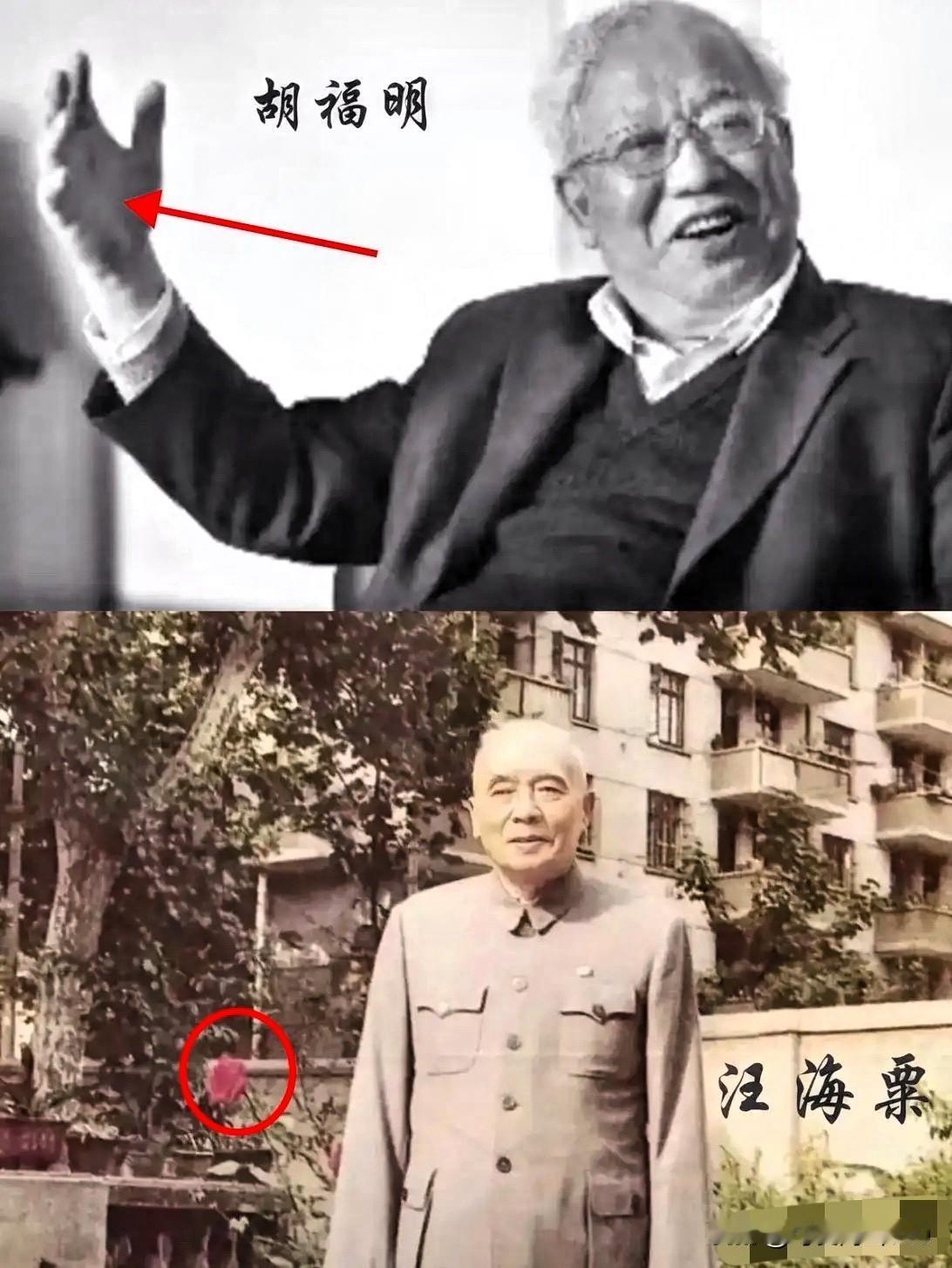 南博这事儿，比电视剧还敢演。查个画卷，竟然把汪海粟的老底给兜出来了。时间线卡