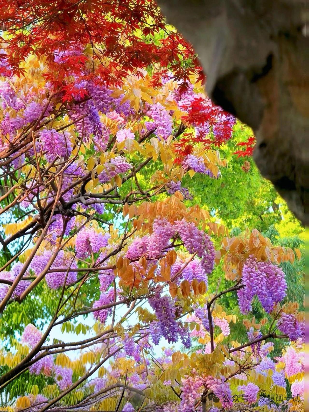 天蝎座我要恭喜你，进入5月下旬，你身上一定会接二连三发生两件好事，第一件事