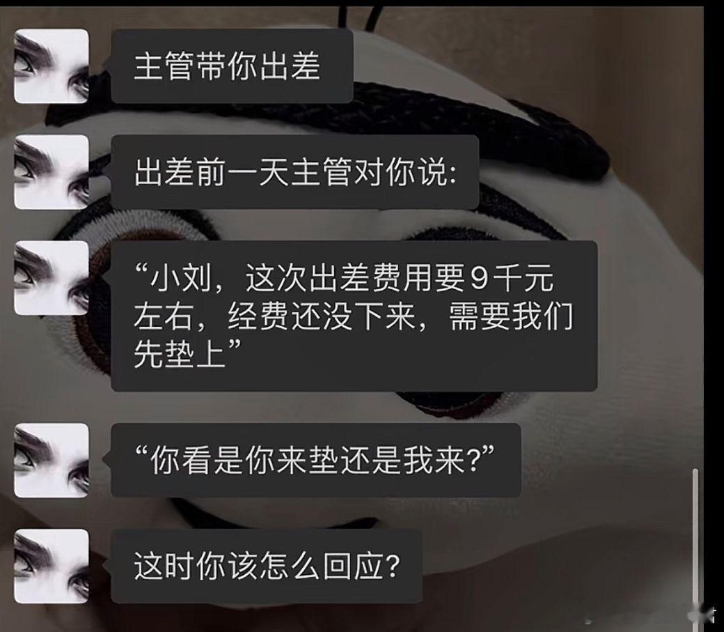 如果是你，你会怎么说？​​​
