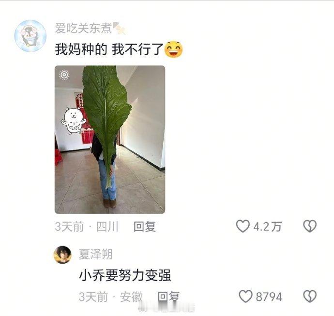 老辈子种菜真是没轻没重啊