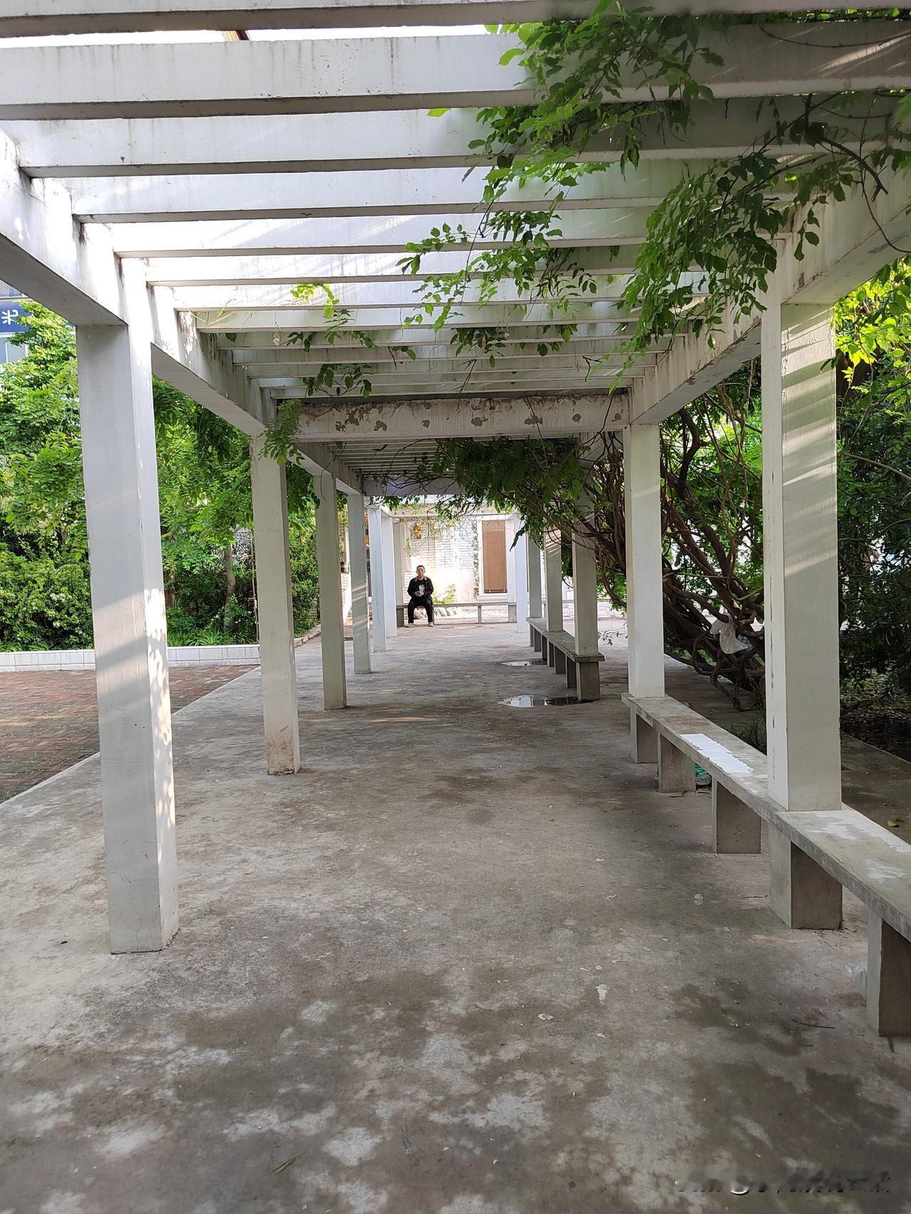 家庭成员之间是互相影响的，你们赞同吗？我同学比我早一年退休。退休前，她在某个