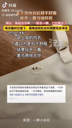 “太吓人了！”四川一女子穿内衣时感到后背不舒服，就扯掉来看，不料，女子看到内衣上