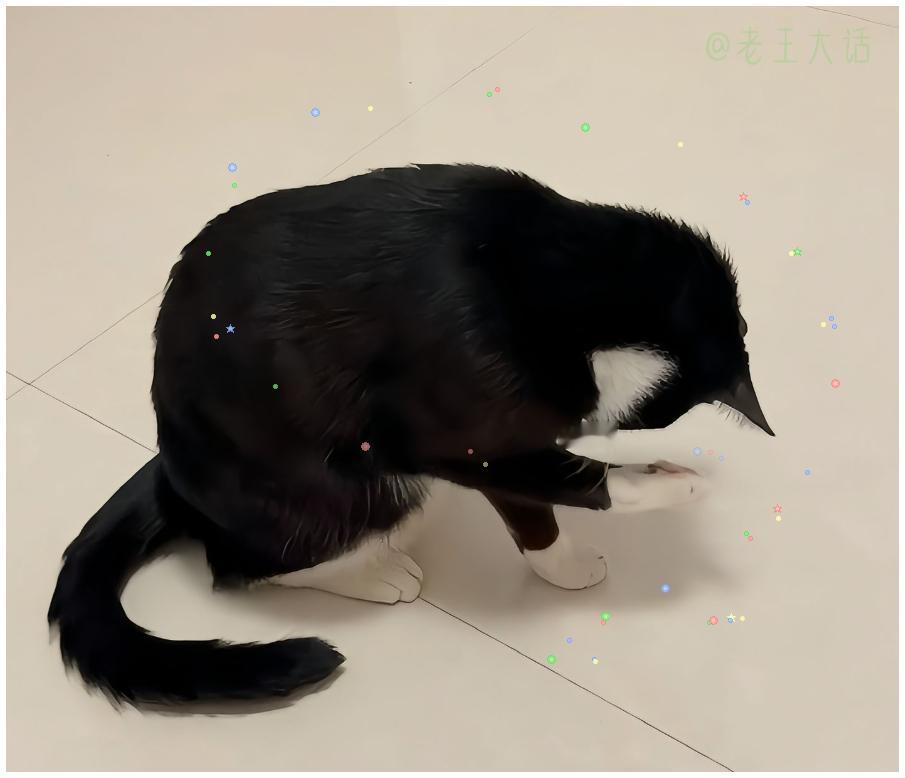 奶牛猫的发癫瞬间
