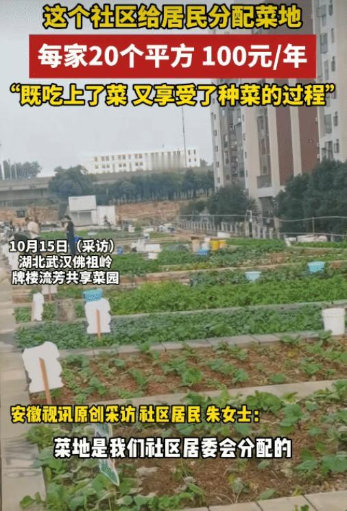湖北武汉，一社区给居民每户分配20平方菜地。没想到，每年才收100元，还打了水井