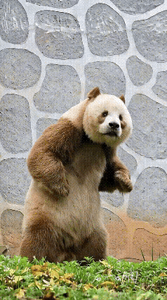 我是谁？我在哪？完美演绎