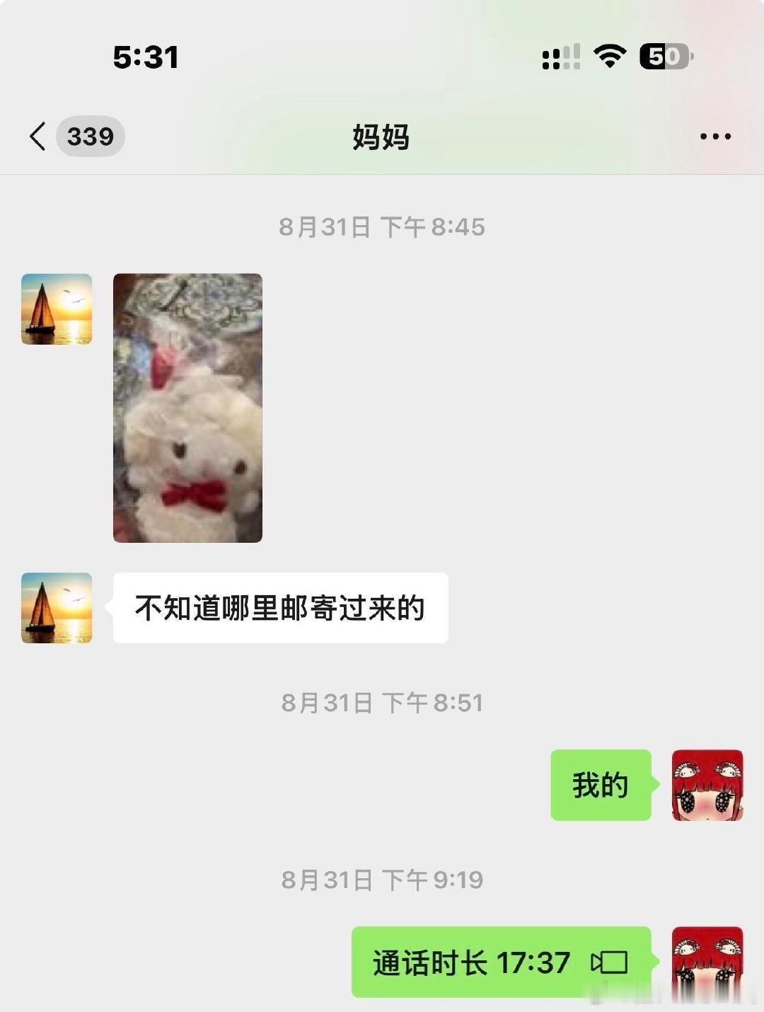 我母亲未经同意，将我的三丽鸥挂件送人。