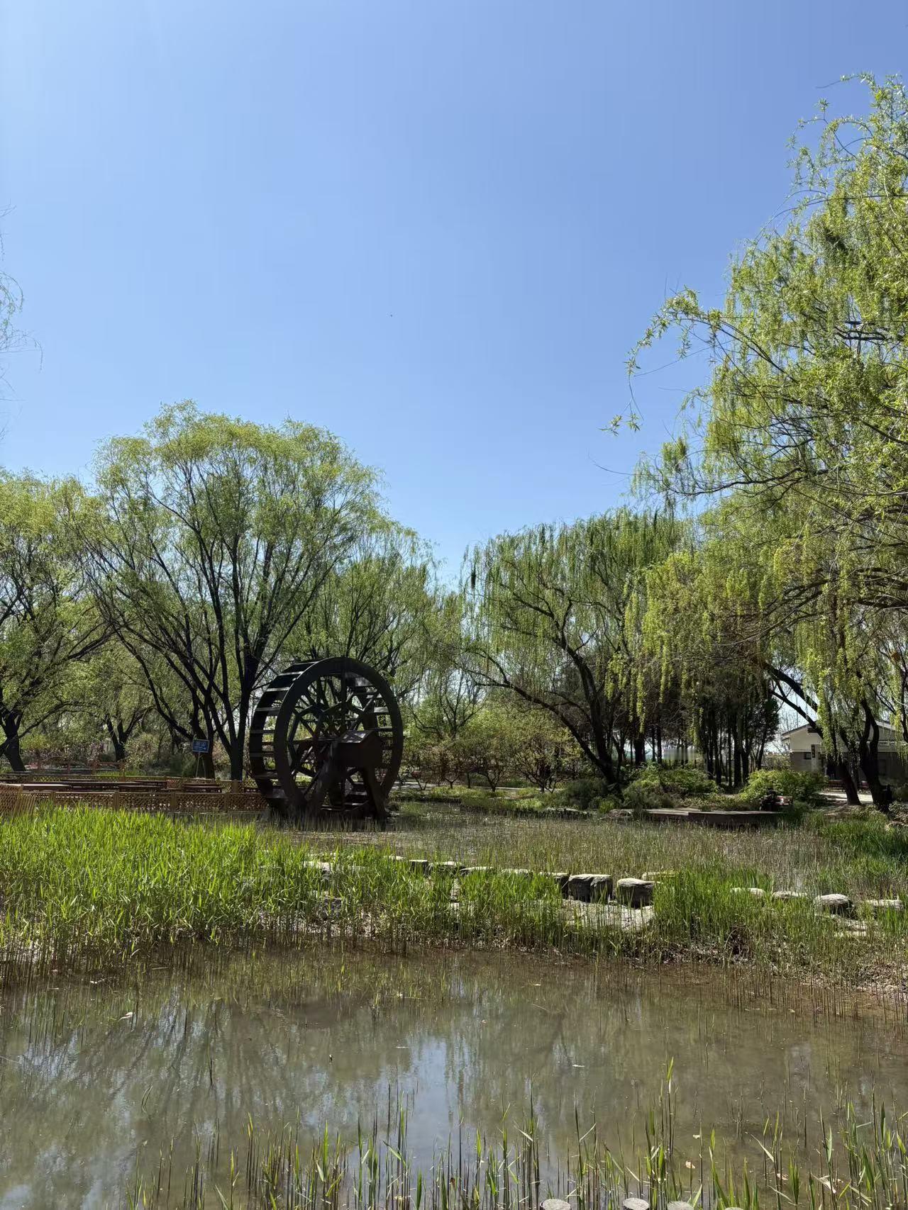 春日生活打卡季春日去海淀公园打卡，那体验简直绝了！一进公园，满眼都是生机勃勃的