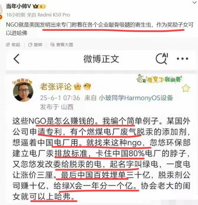 看到这个，还是沈震惊的。这个举例如何？NGO就是美帝发明出来的寄生虫；作为