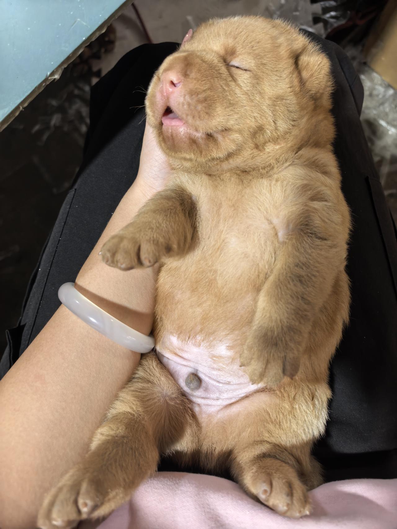 闻着刺鼻的辣椒味，我把筷子啪～的一声拍在桌子上。委屈道：“我想吃生腌虾了。”