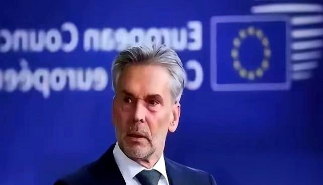 我刚看到个新闻，差点把水喷出来。荷兰那边有人放话，说我们要是断了稀土，他们就要