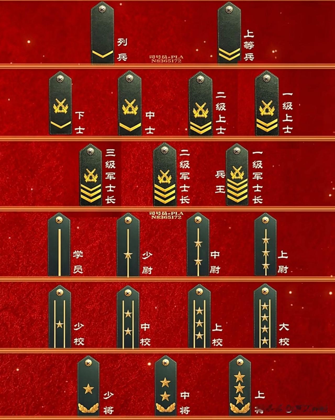 对照图片帮你解读：图一让你清楚军衔等级，图二让你明白资历章都代表什么意思军衔等