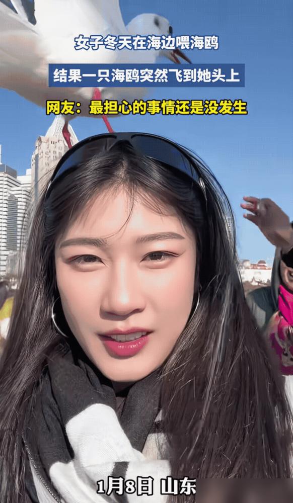 “最担心的事情还是没发生！”山东，一名女子去海边看海鸥，突然一只海鸥飞到女子的头