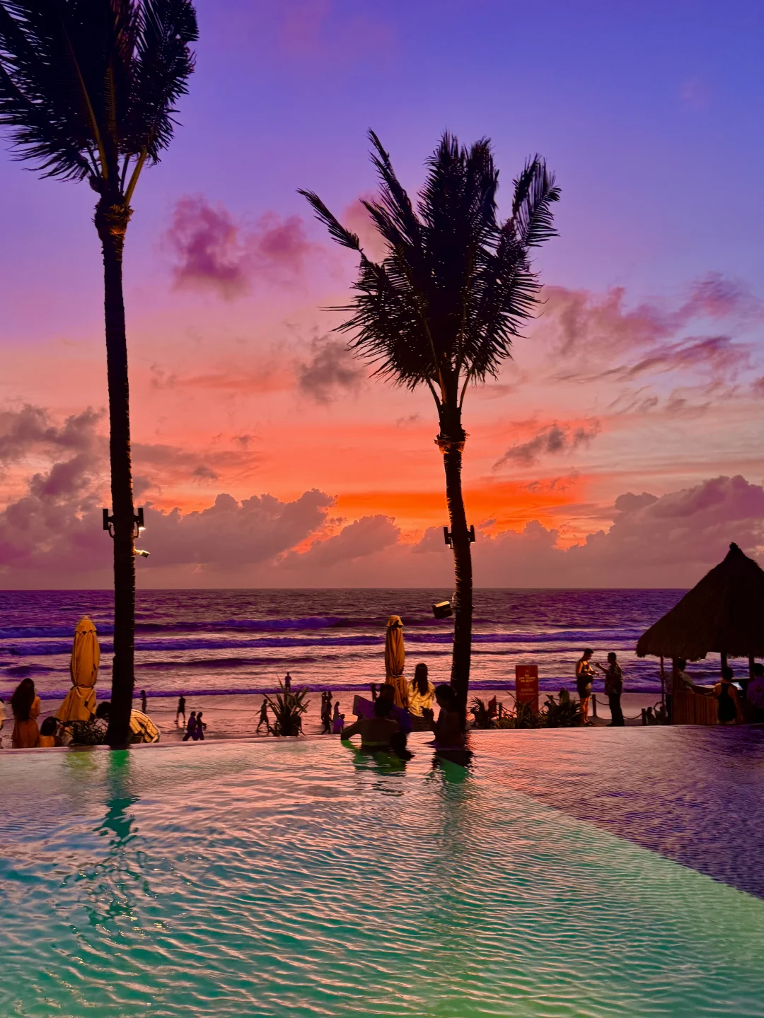 这几天的巴厘岛，真是人间理想！live