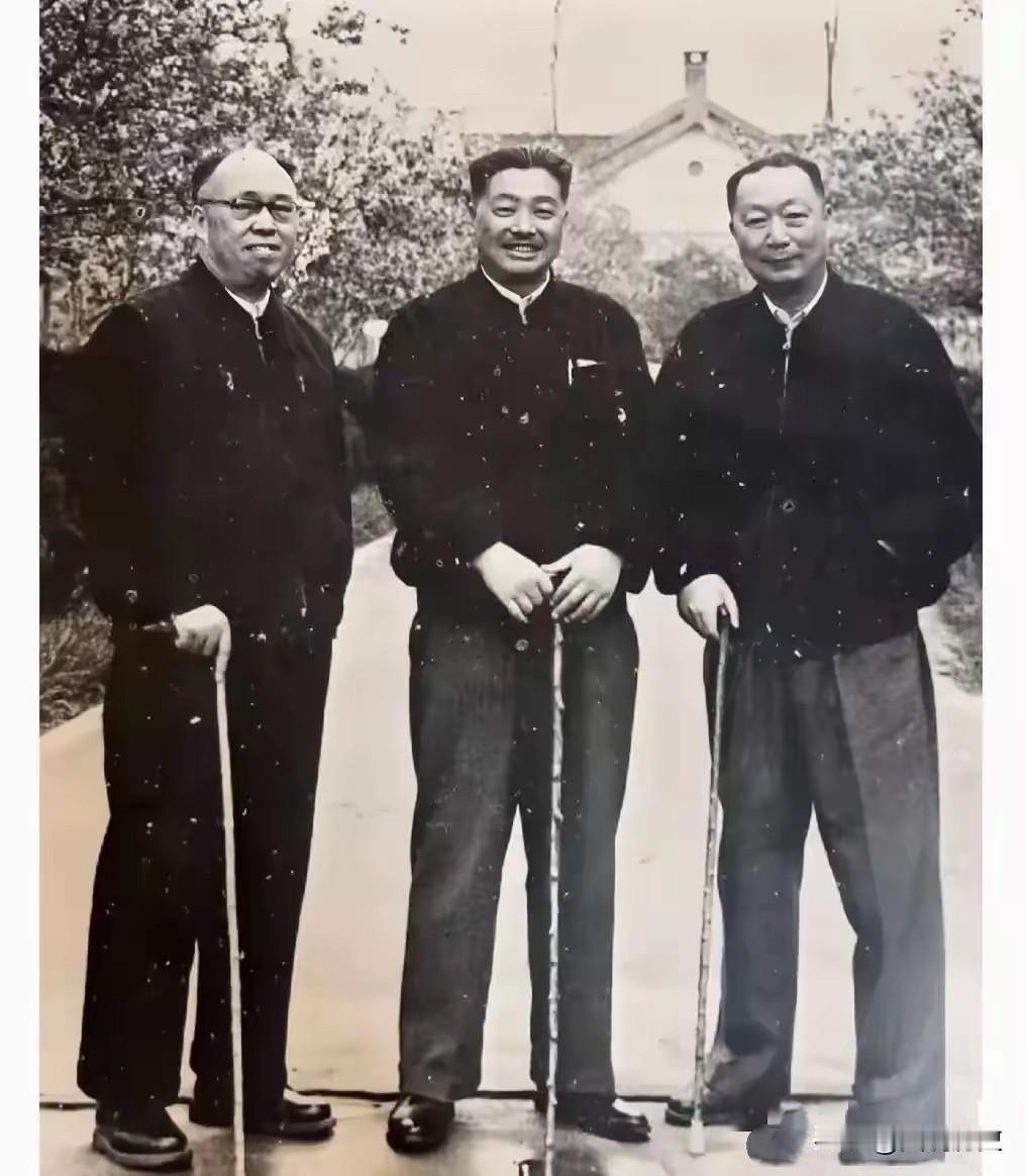这张珍贵合影拍摄于50年代末期，三位老战友相遇一起，此时的他们已经步入晚年，他们