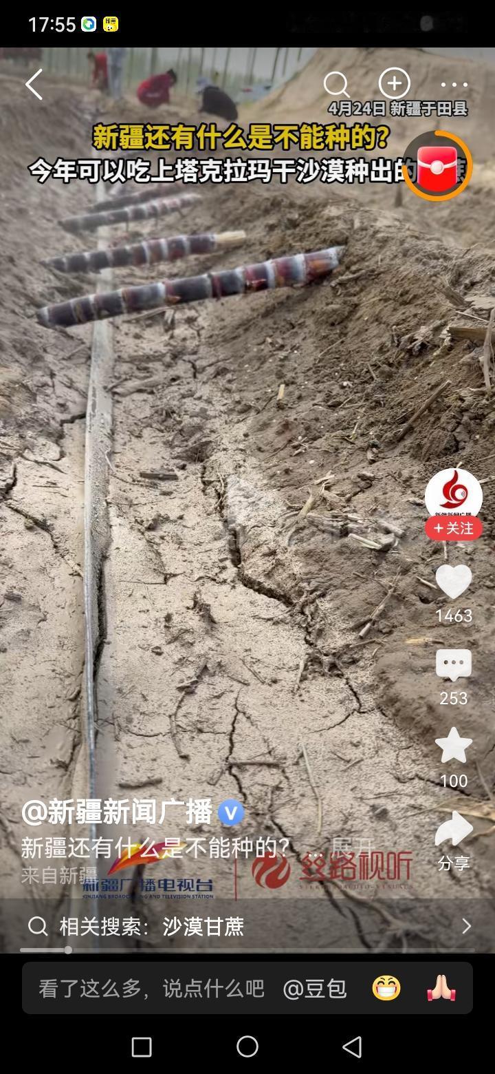 在新疆，我真是活久见了，看看咱们新疆能种些啥，居然有新疆的香蕉，蓝莓，荔枝，甘蔗