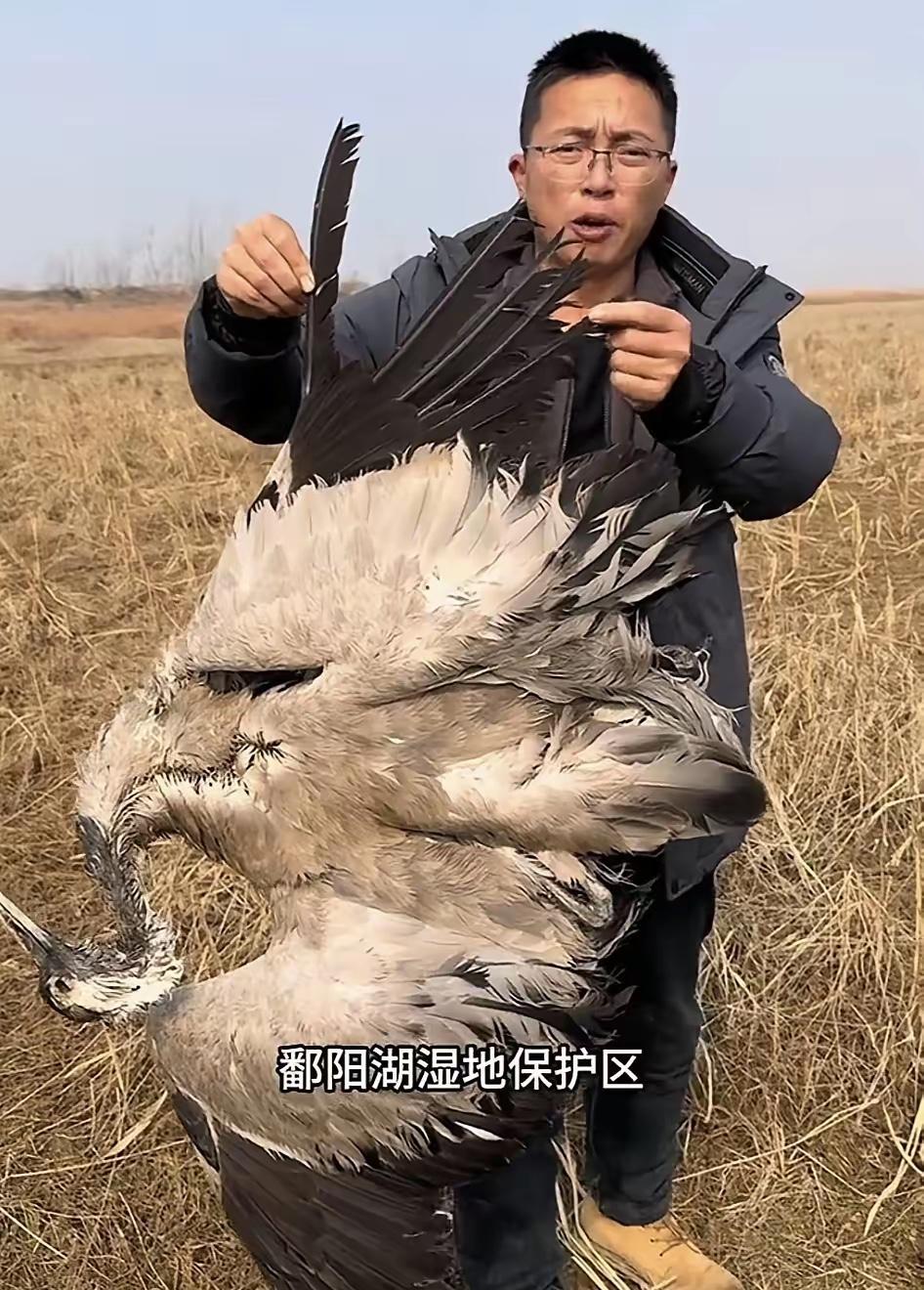 鄱阳湖投毒的抓到了！百余只国家保护动物被毒害，5人被捕，四个人都是55岁左右