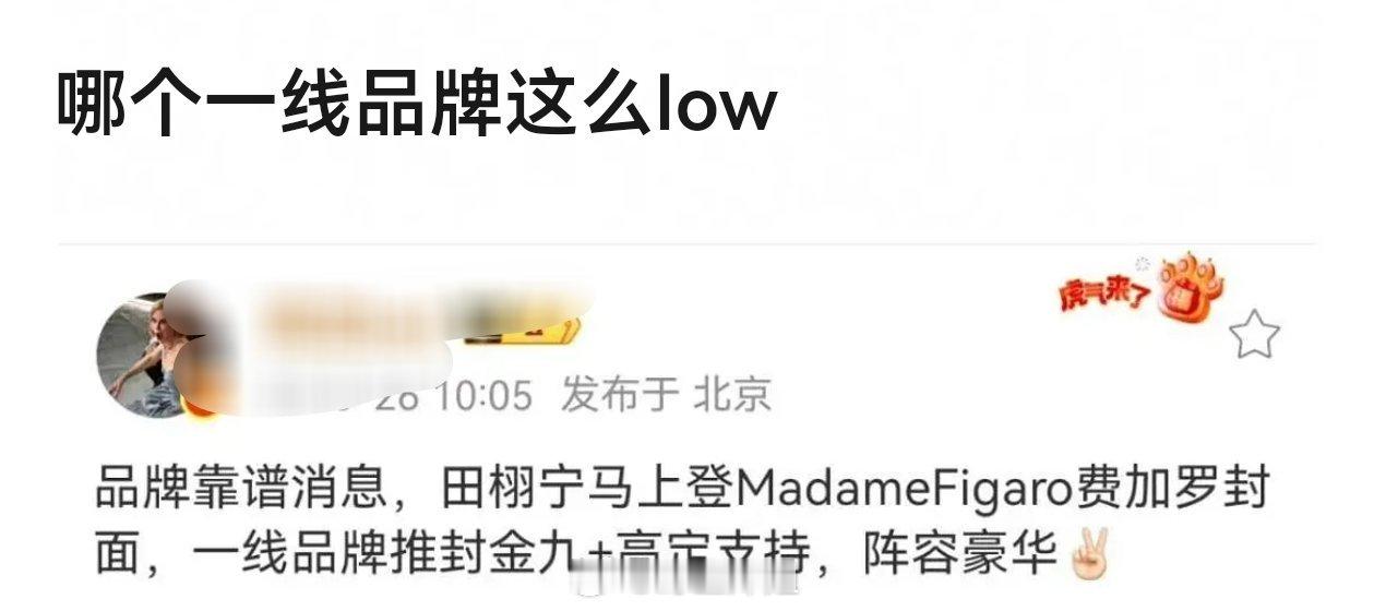 田栩宁又要有新杂志了？N线杂志，哪来的金九的说法，笑🐭​​​