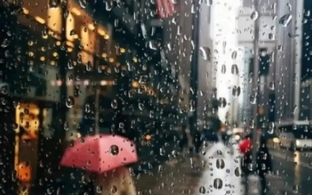 人没了。在情人那里。突发心脏病，没救回来。情人慌了神，联系上他姐姐。姐姐也