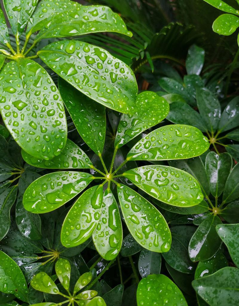 两千块月贴,刚好踩在全国平均线。听起来多,真掰开细算:尿布奶粉一天一张大钞,