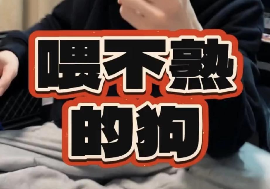 换子案有新进展了！杜大娘吓得不敢出来了！拆家队于是领到新任务了！开始明晃晃的针对