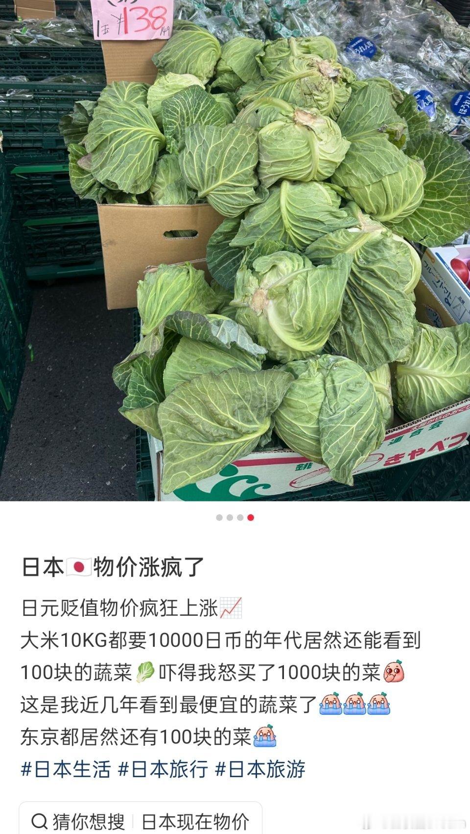 据说这是日本现在最便宜的蔬菜🥬