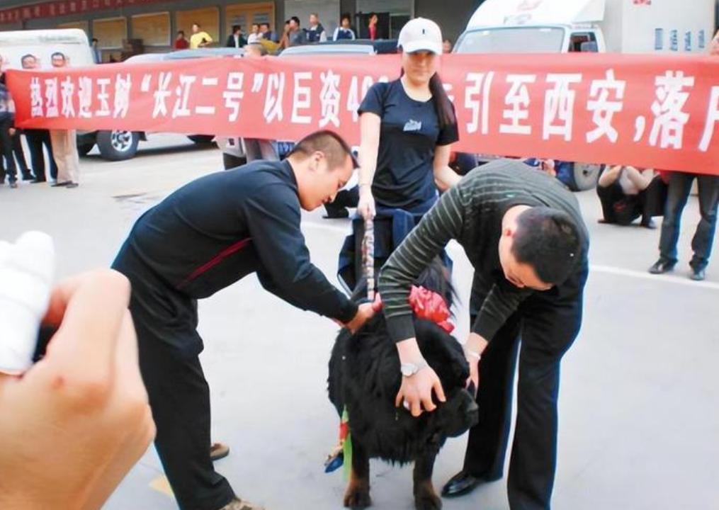 2009年9月10日下午，西安咸阳国际机场的停车场上，三十辆清一色的黑色奔驰S5