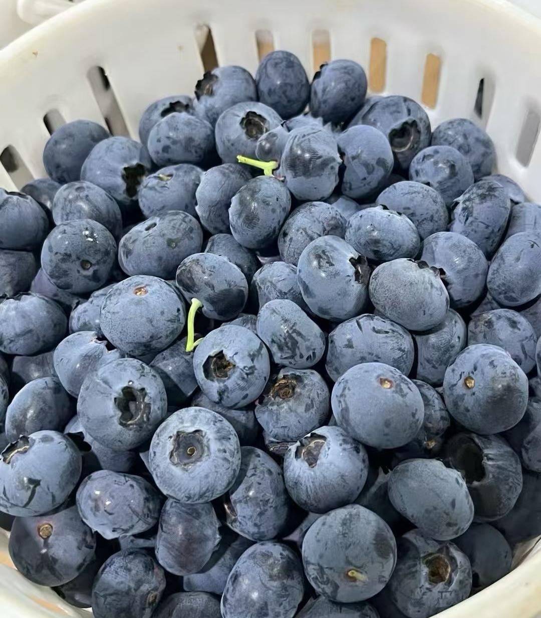 医生朋友特意叮嘱我，平时可以多吃点蓝莓。要说我坚持最久的一件小事，大概就是每天