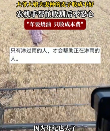 令人心酸！河南济源一男子开收割机帮一对七旬老农户收割麦子，没想到割了3亩地却只装