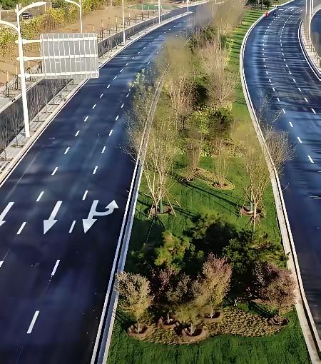 知道为什么路中间的绿化带，不修成路面吗？终于看到一个靠谱的回答：根据目前的交